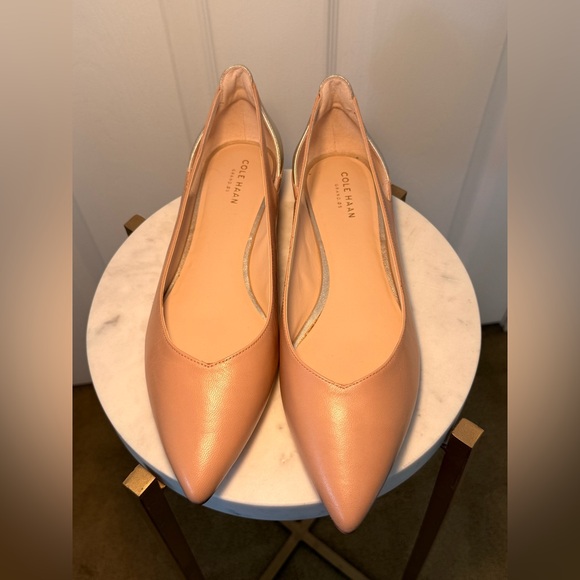 Cole Haan Shoes - Cole Haan Women's Blush Pointed Flats